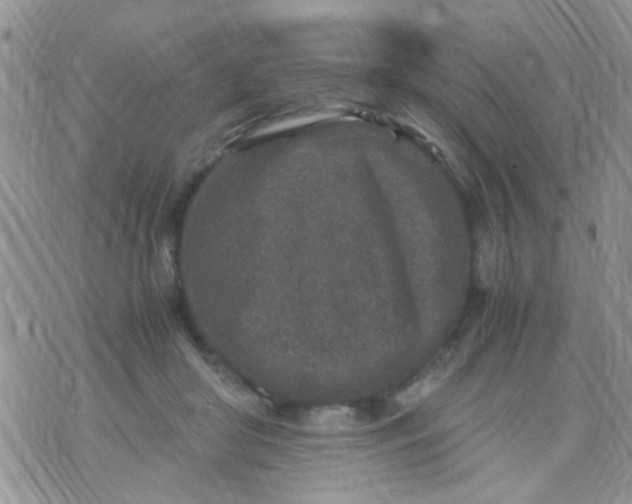 X0000070410410200606302041