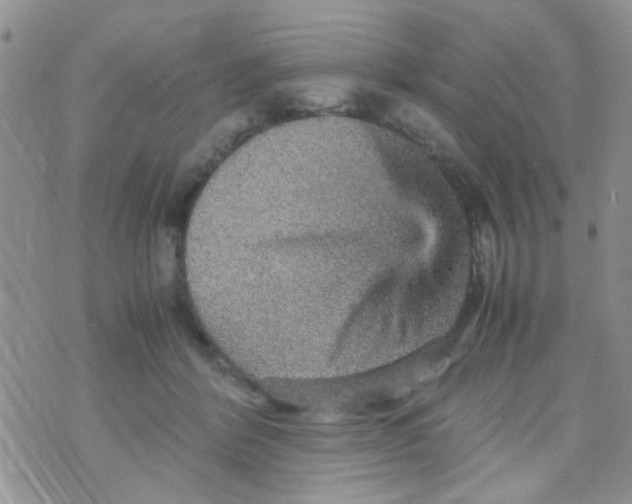 X0000070410412200606302041