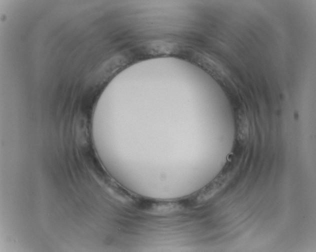 X0000070410414200606302041