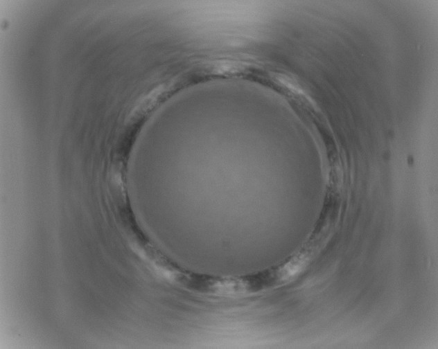 X0000070410415200606302041