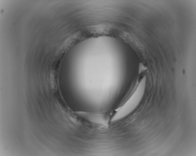 X0000070410416200606302041