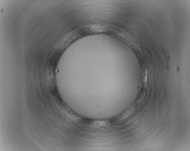 X0000070410418200606302041