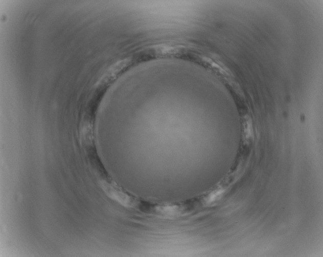 X0000070410419200606302041