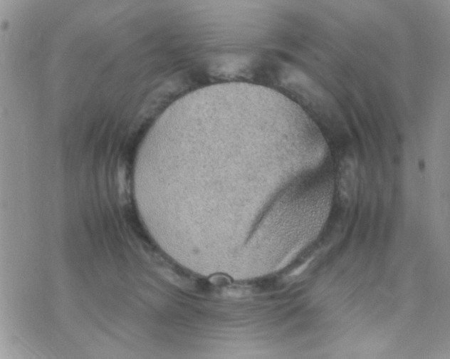 X0000070410420200606302041