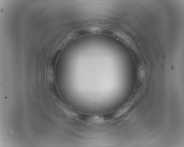 X0000070410421200606302041