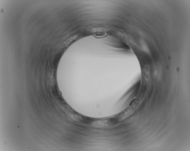 X0000070410422200606302041