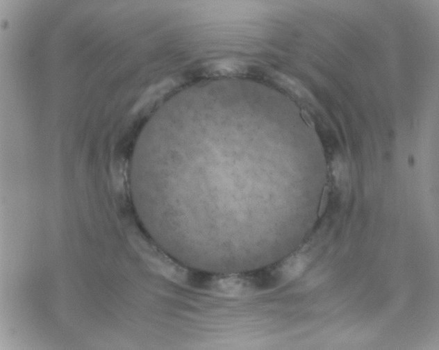 X0000070410423200606302041