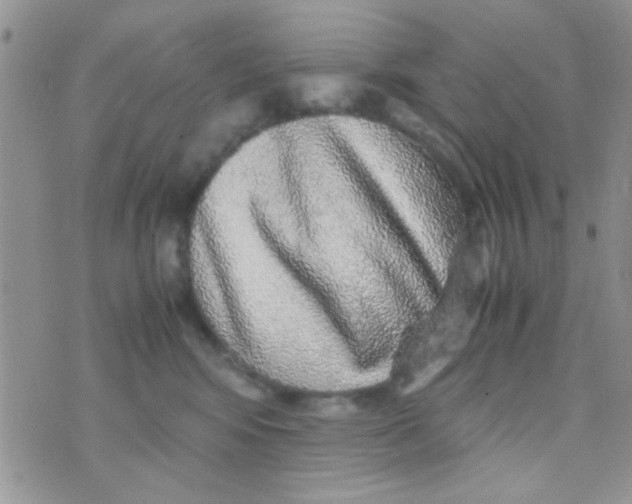 X0000070410424200606302041