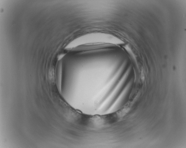 X0000070410425200606302041