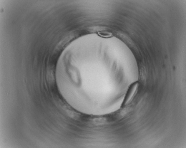 X0000070410426200606302041