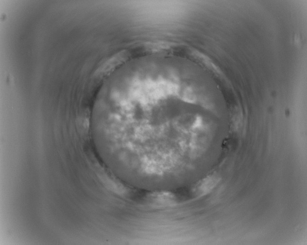 X0000070410427200606302041