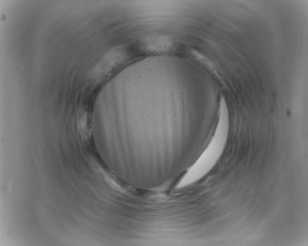 X0000070410428200606302041