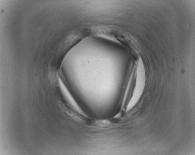 X0000070410429200606302041