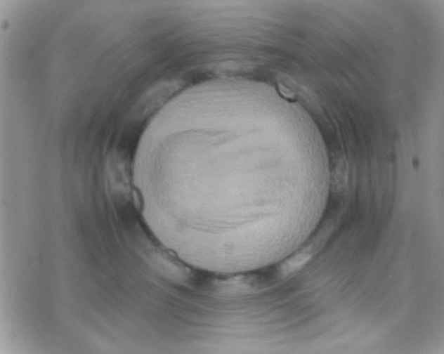 X0000070410430200606302041