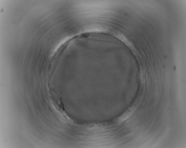 X0000070410434200606302040