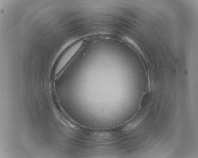 X0000070410435200606302040