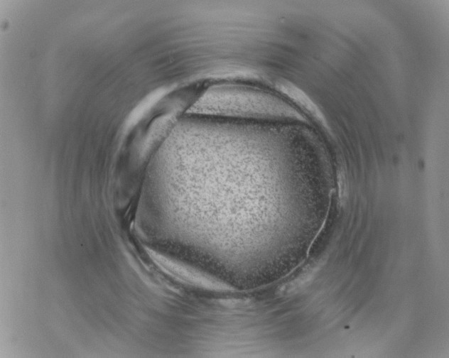 X0000070410436200606302040