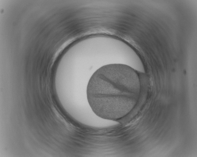 X0000070410440200606302040