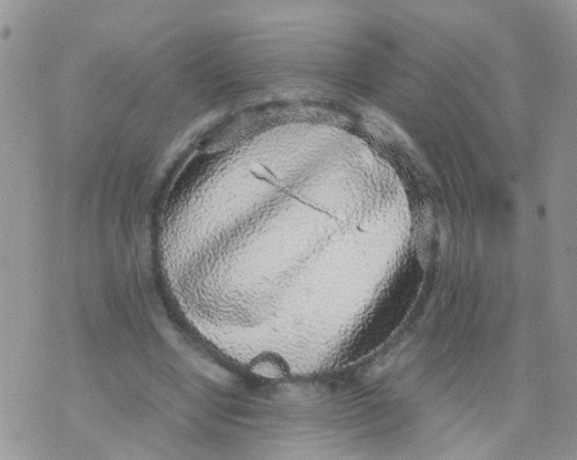 X0000070410442200606302040