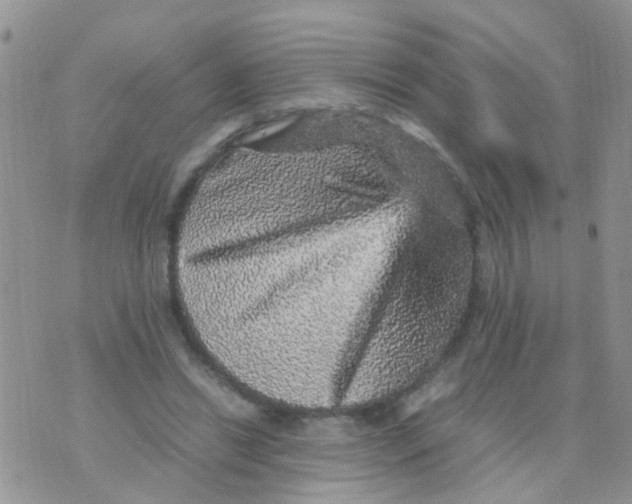 X0000070410446200606302040