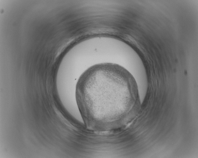 X0000070410448200606302040