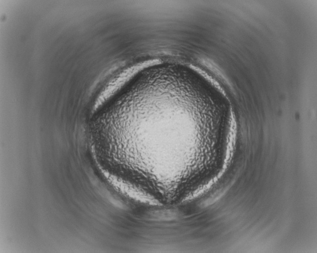 X0000070410449200606302040