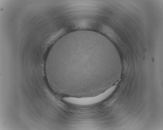 X0000070410450200606302040