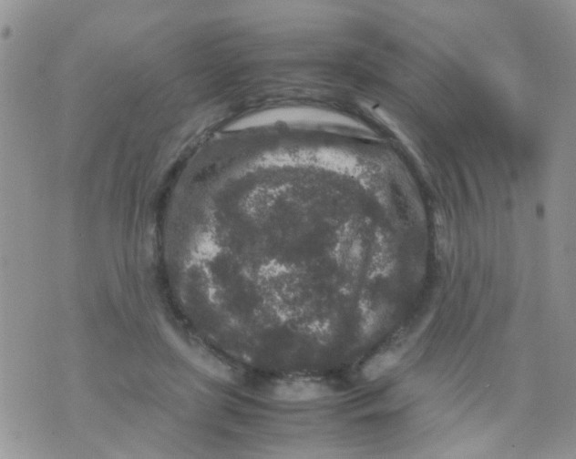 X0000070410451200606302040