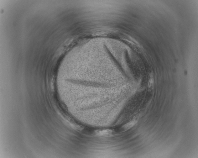 X0000070410452200606302040