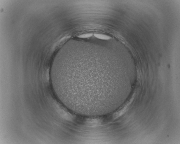 X0000070410454200606302040