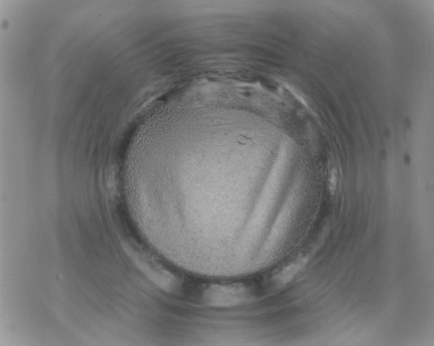 X0000070410455200606302040