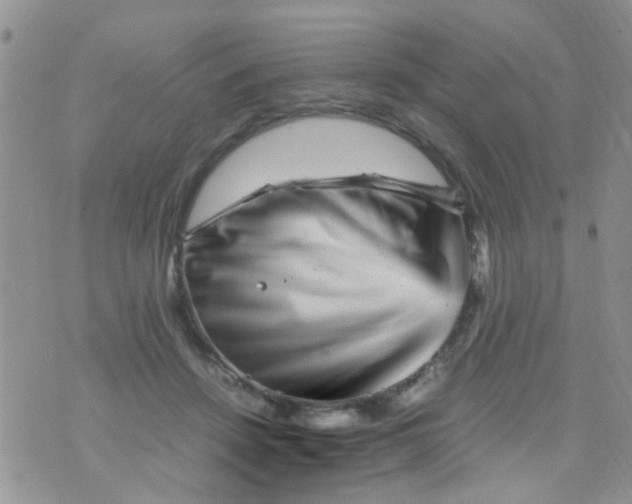 X0000070410456200606302040