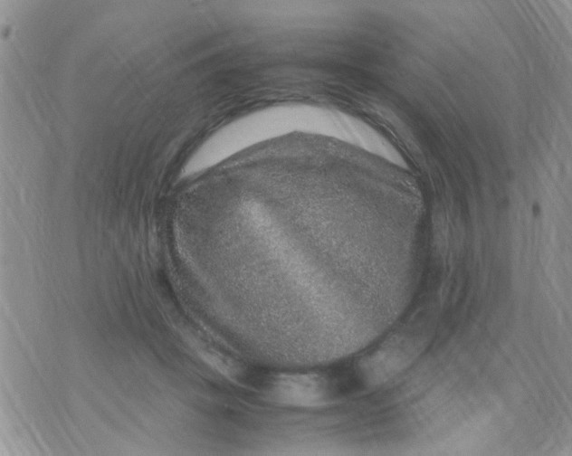 X0000070410457200606302040