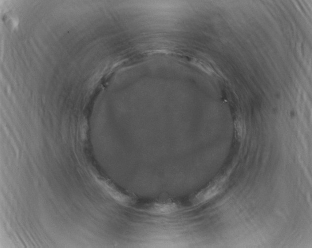 X0000070410458200606302040