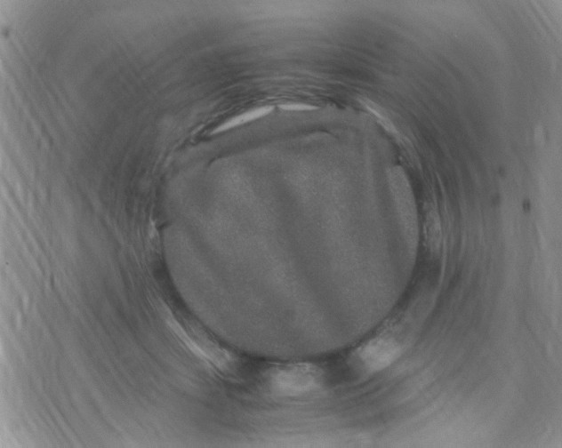 X0000070410459200606302040