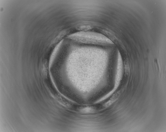 X0000070410460200606302040