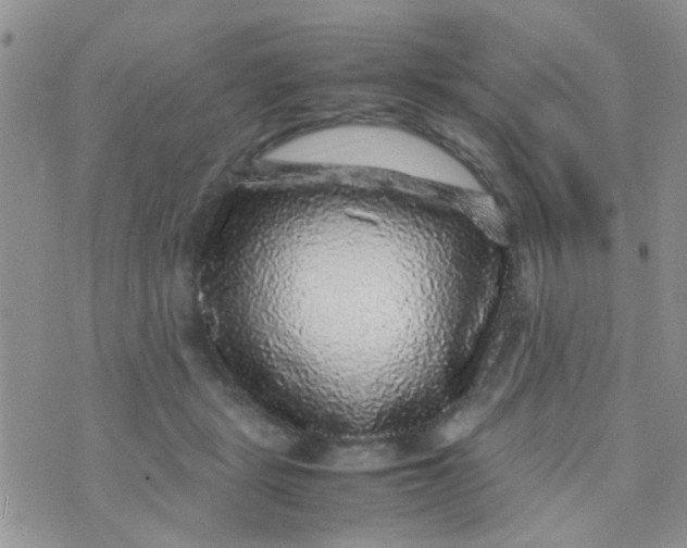 X0000070410461200606302040