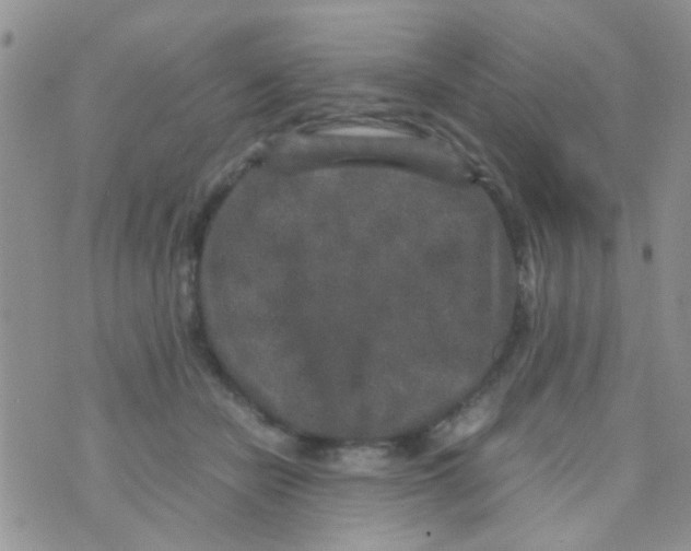 X0000070410462200606302040