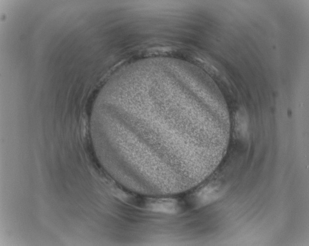 X0000070410463200606302040