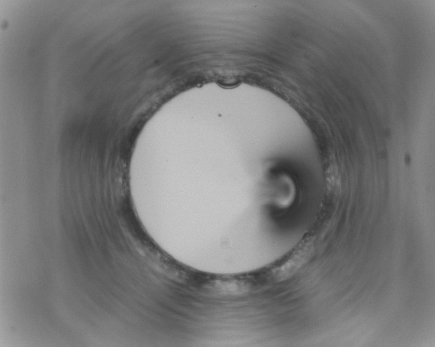 X0000070410464200606302040