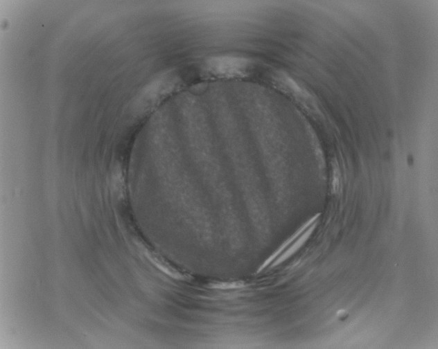 X0000070410465200606302040