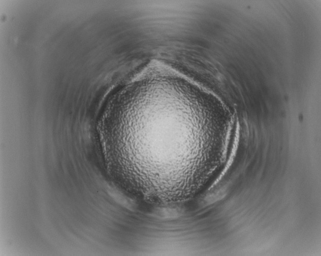 X0000070410466200606302040