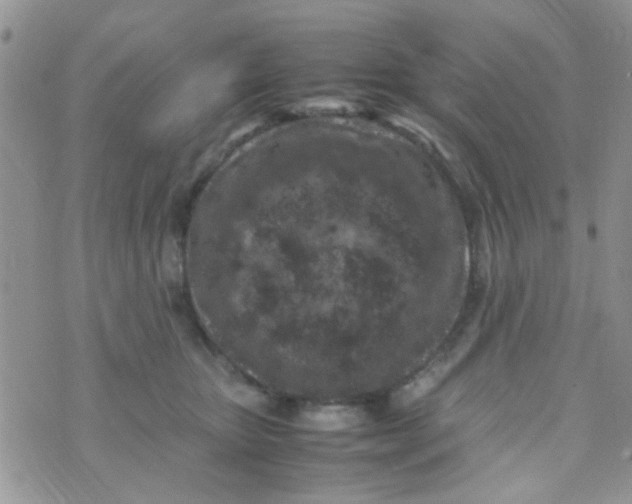 X0000070410467200606302041