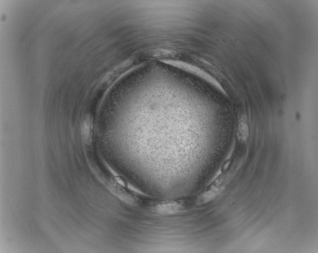 X0000070410468200606302041