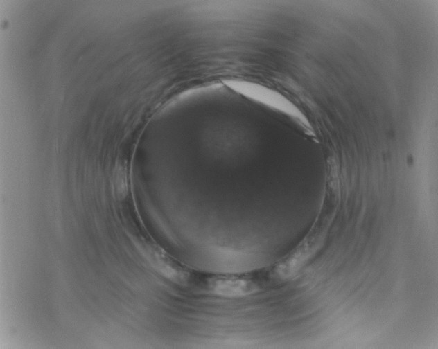 X0000070410471200606302041