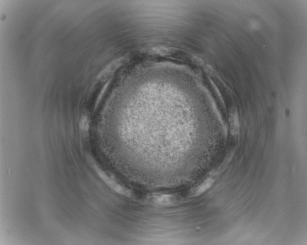 X0000070410472200606302041