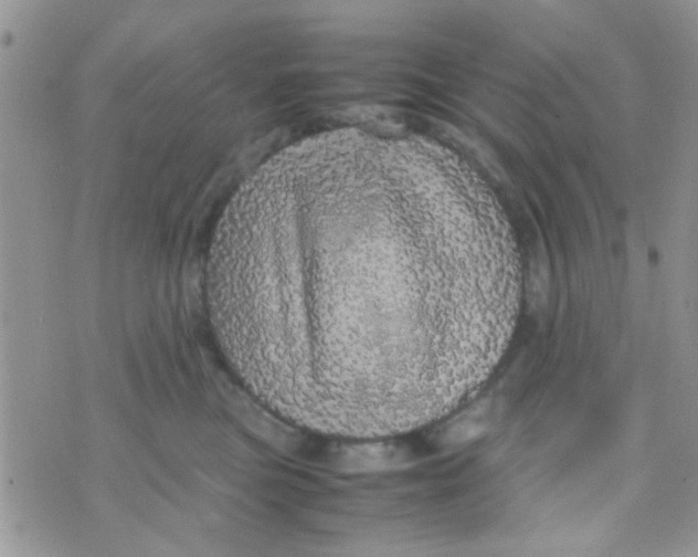 X0000070410473200606302041