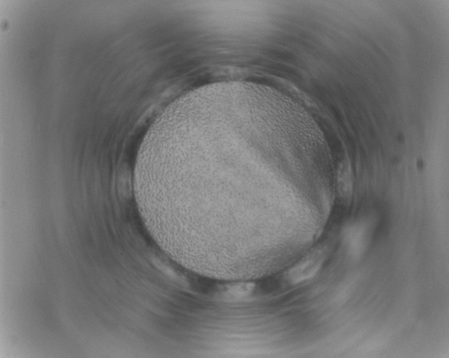 X0000070410474200606302041