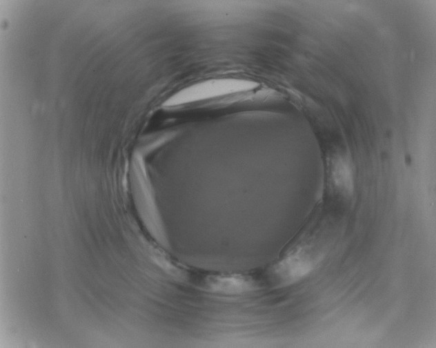 X0000070410475200606302041