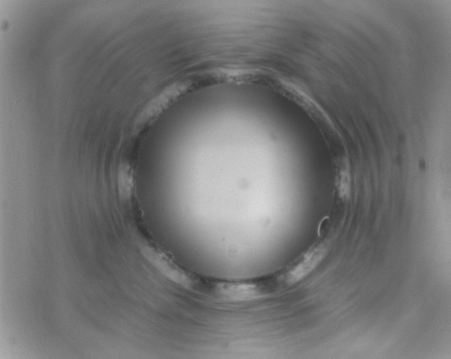 X0000070410476200606302041